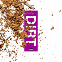 Dirt (Single)