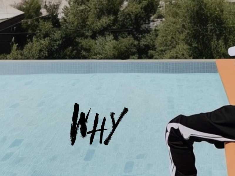 Why (Expanded Single)