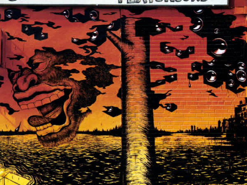 Songs From The Analog Playground