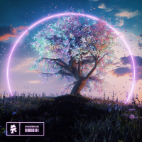 Never Let You Down (Single)