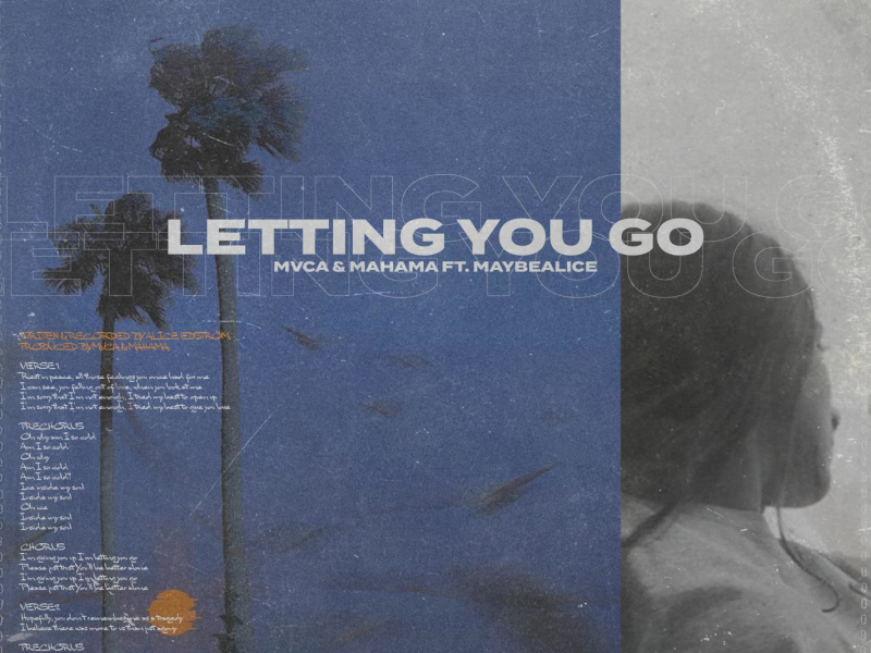 Letting You Go (feat. maybealice) (Single)