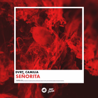 Señorita (Single)
