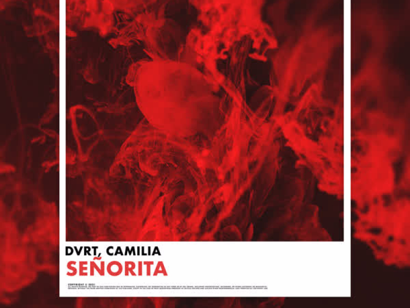 Señorita (Single)