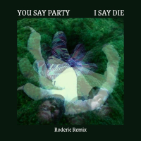 You Say Party I Say Die (Roderic Remix) (Single)