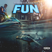 Fun (Single)