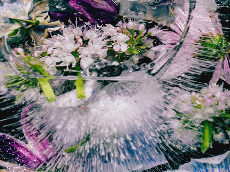 we're dying (Remix Pack)