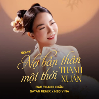 Nợ Bản Thân Một Thời Thanh Xuân (Remix) (Single)