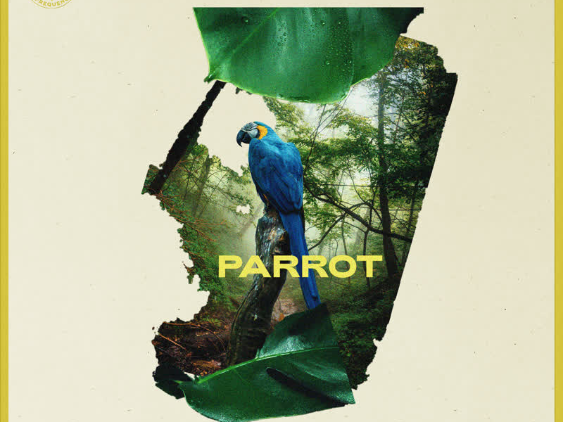 Parrot (Single)