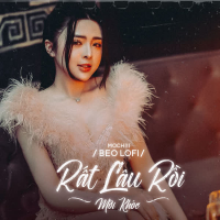 Rất Lâu Rồi Mới Khóc (Beo Lofi Mix) (Single)