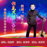 相见只能在梦里 (Single)