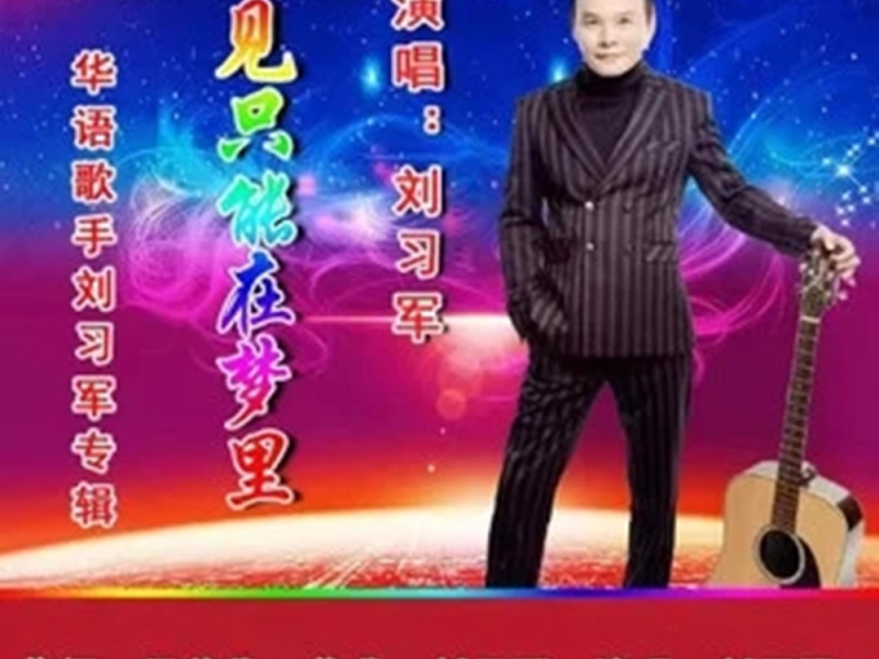 相见只能在梦里 (Single)