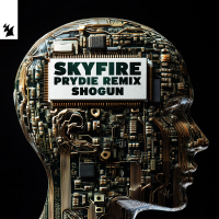 Skyfire (PRYDIE Remix) (Single)
