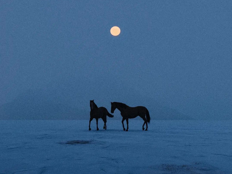 i could grab the moon for you (EP)