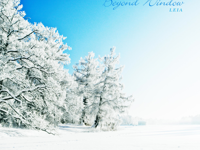 Beyond Window (Single)