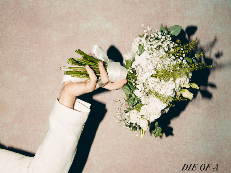 Die Of A Broken Heart (Alex Kirsch Remix) (Single)