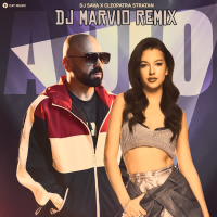 Adio (DJ Marvio Remix) (Single)