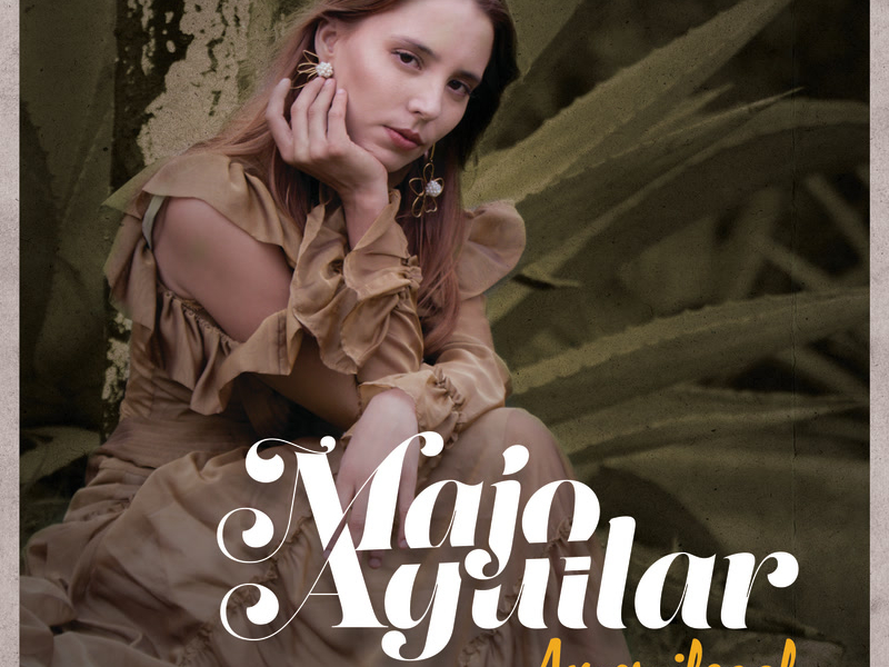 Amor Ilegal (Single)