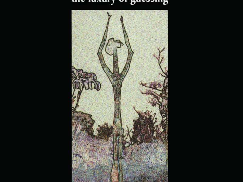 The Luxury of Guessing