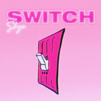 Switch (Single)