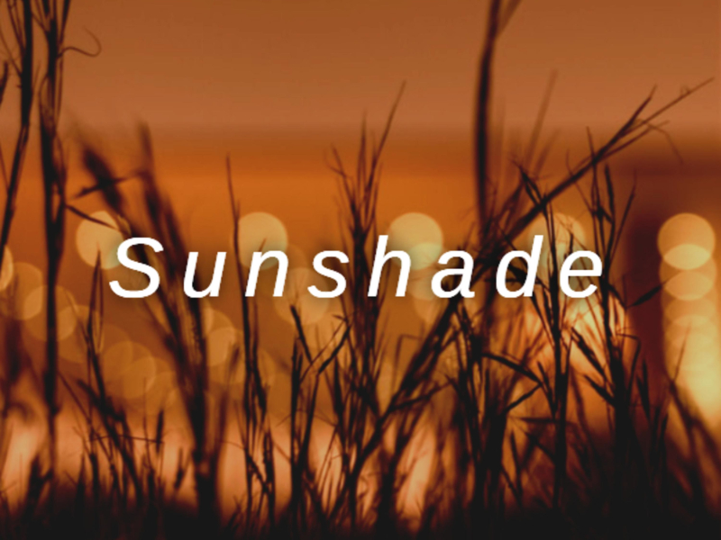 Sunshade (Single)