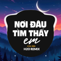 Nơi Đâu Tìm Thấy Em (Remix Vinahouse) (Single)