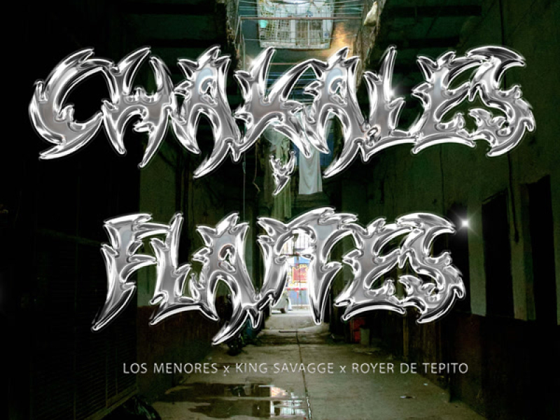 Chakales y Flaytes (Single)