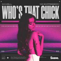 Who's That Chick (Single)