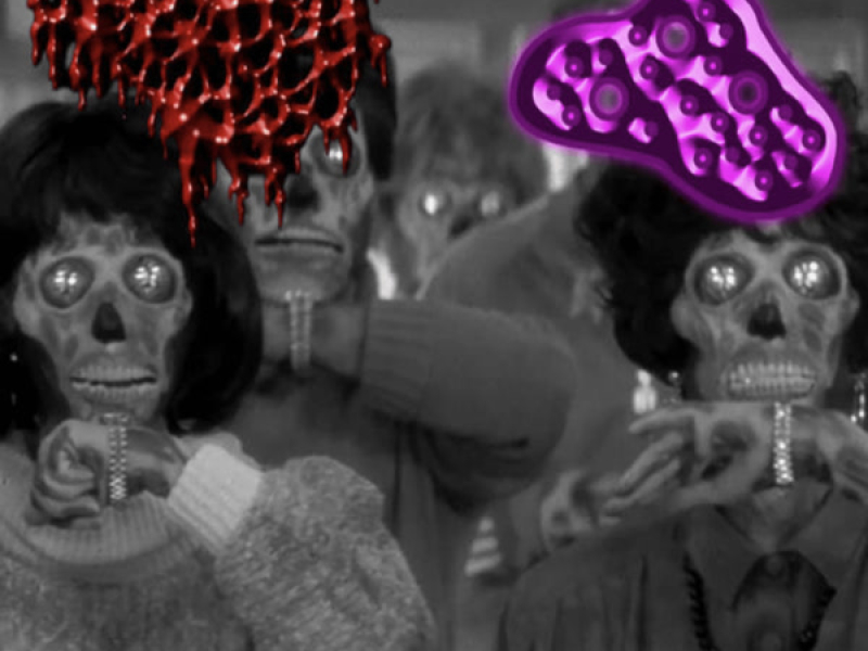 Split with BxExRxGxTx (EP)