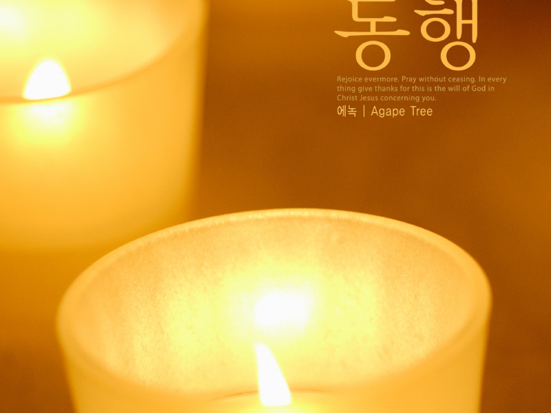 Accompanied (Single)