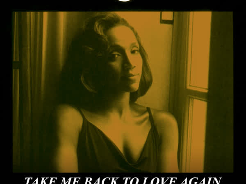 Take Me Back To Love (Remixes)