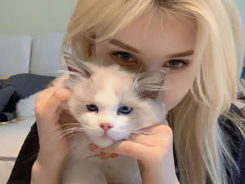 Unwritten x Birds Of A Feather (Single)