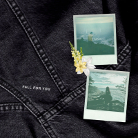 fall for you (Single)