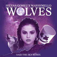 Wolves (Said The Sky Remix) (Single)