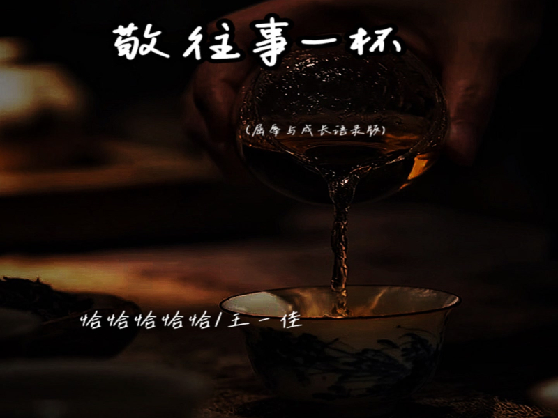 敬往事一杯 (屈辱与成长语录版) (Single)