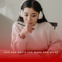 Trip Hop Beats For Work And Study (EP)