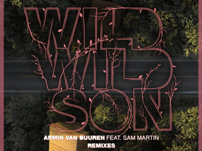 Wild Wild Son (Remixes) (Single)