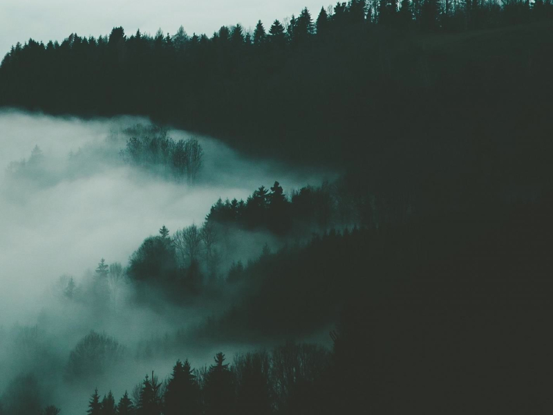 Leale Martelli (Single)