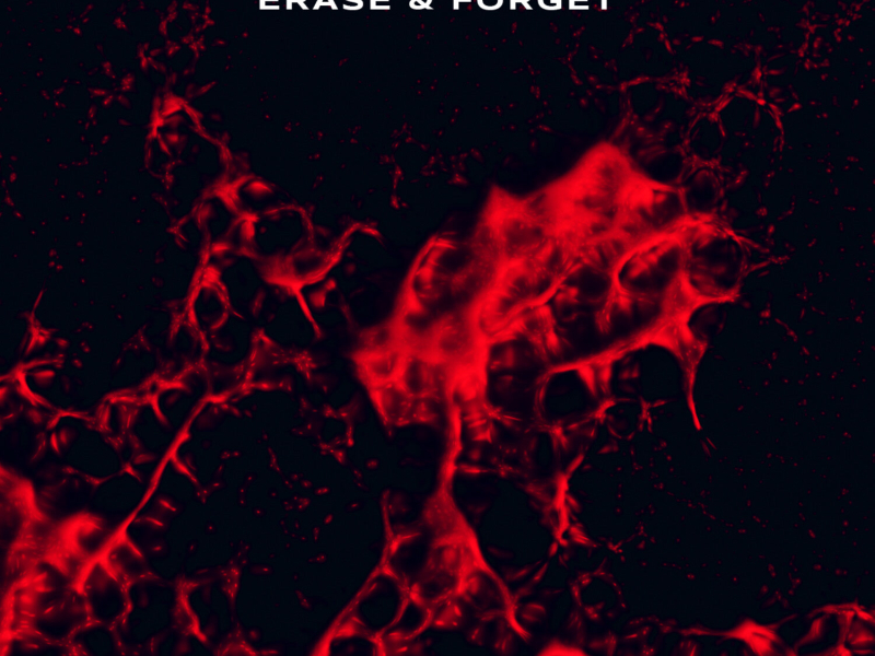 Erase & Forget (EP)
