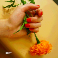 Hurt (Single)