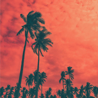 Crimson Beach (Single)