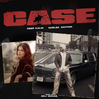 Case (Single)