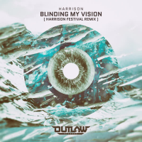 Blinding My Vision (Harrison Festival Remix) (Single)