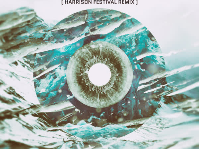 Blinding My Vision (Harrison Festival Remix) (Single)