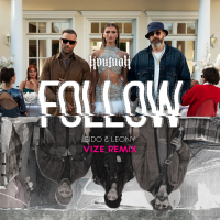 Follow (VIZE Remix) (Single)