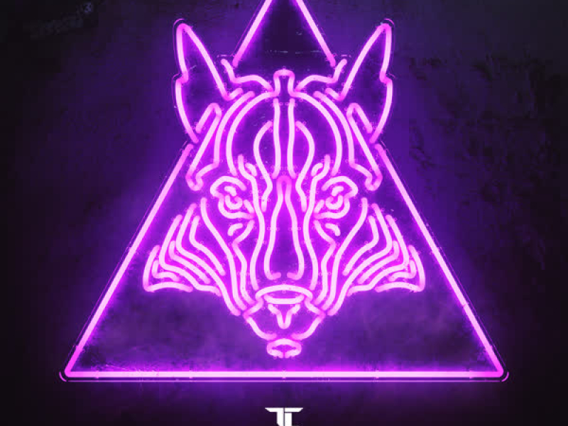 Next Hype (Taim Remix) (Single)