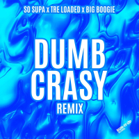 Dumb Crasy (Remix) (Single)