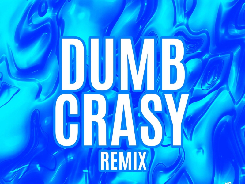 Dumb Crasy (Remix) (Single)