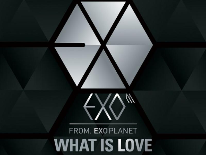 What Is Love (Chinese Version) (Single)