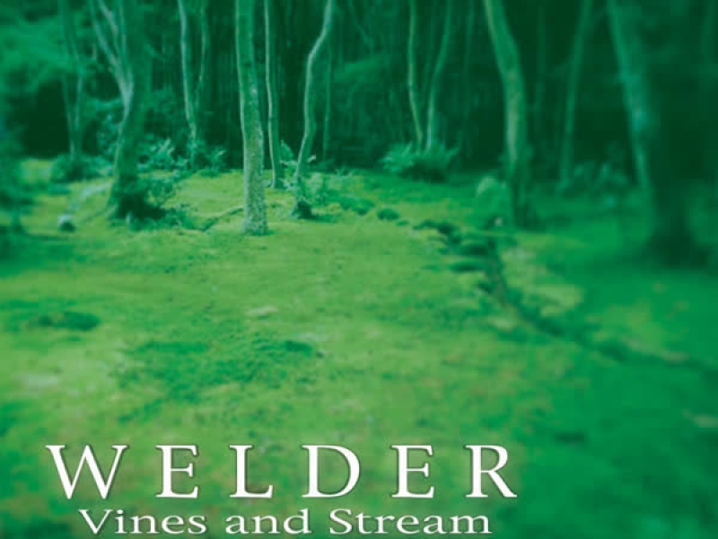 Vines & Stream