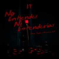 Ni Entenderías (Single)